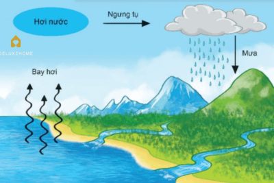 KPKH: Vòng tuần hoàn của nước